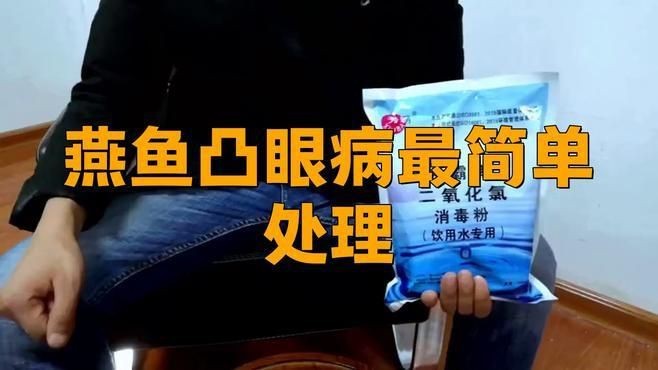 哪些藥物可以有效治療魚突眼？【智能模式回答完成調用工具：百度健康治療魚突眼的有效藥物】