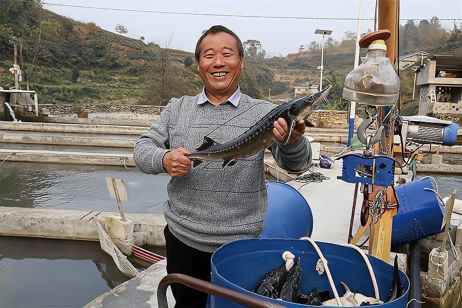 遠安龍魚店