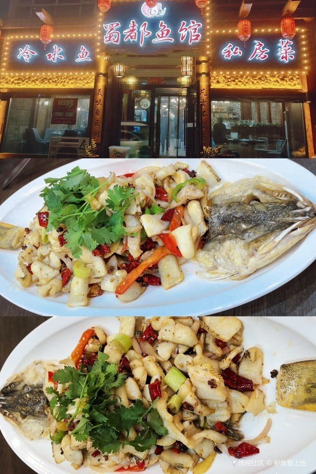 藍山龍魚店【藍山龍魚店有哪些特色】