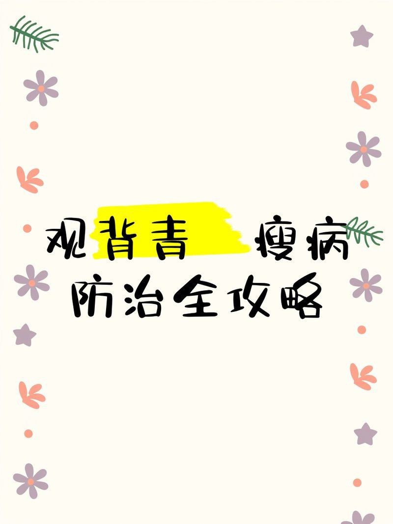 觀背青鳉瘦病能自愈嗎【觀背青瘦病如何自愈】