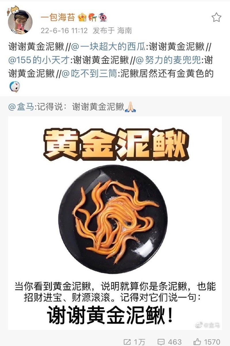 南川龍魚養殖的市場前景如何，“川龍魚”養殖前景如何？