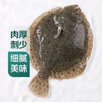 瓜州龍魚店【瓜州地區有龍魚愛好者嗎】