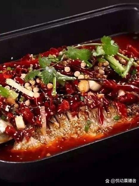 陽城龍魚店【陽城哪家魚店最專業】