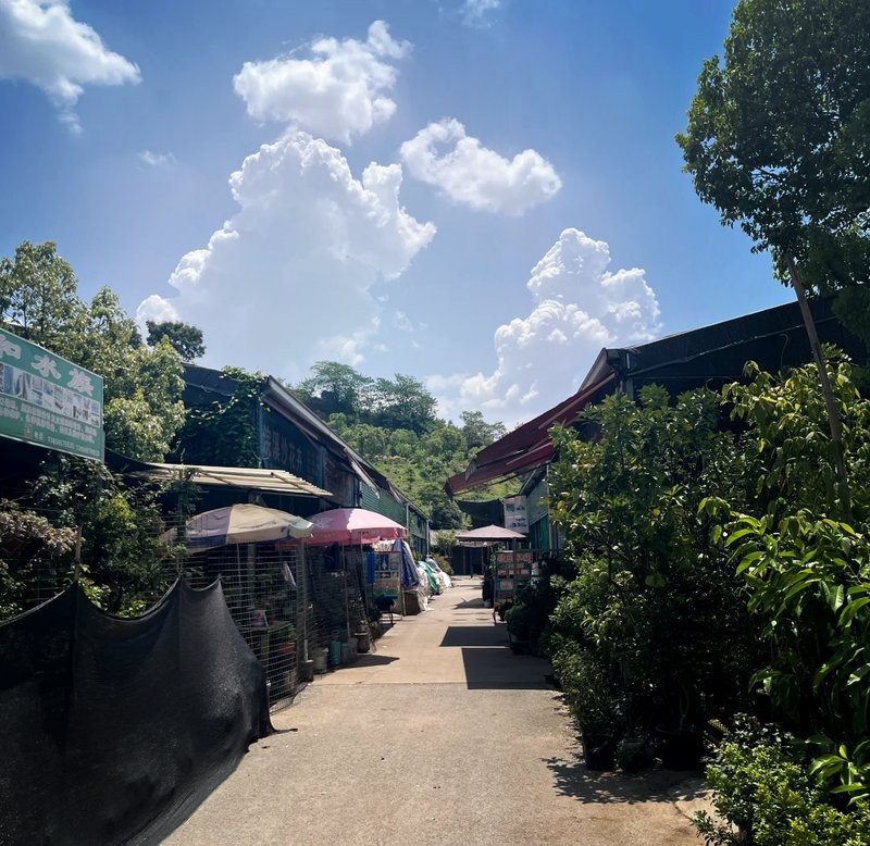 重慶水族店【探訪重慶最大水族市場馬里奧來的奧利奧sealife】