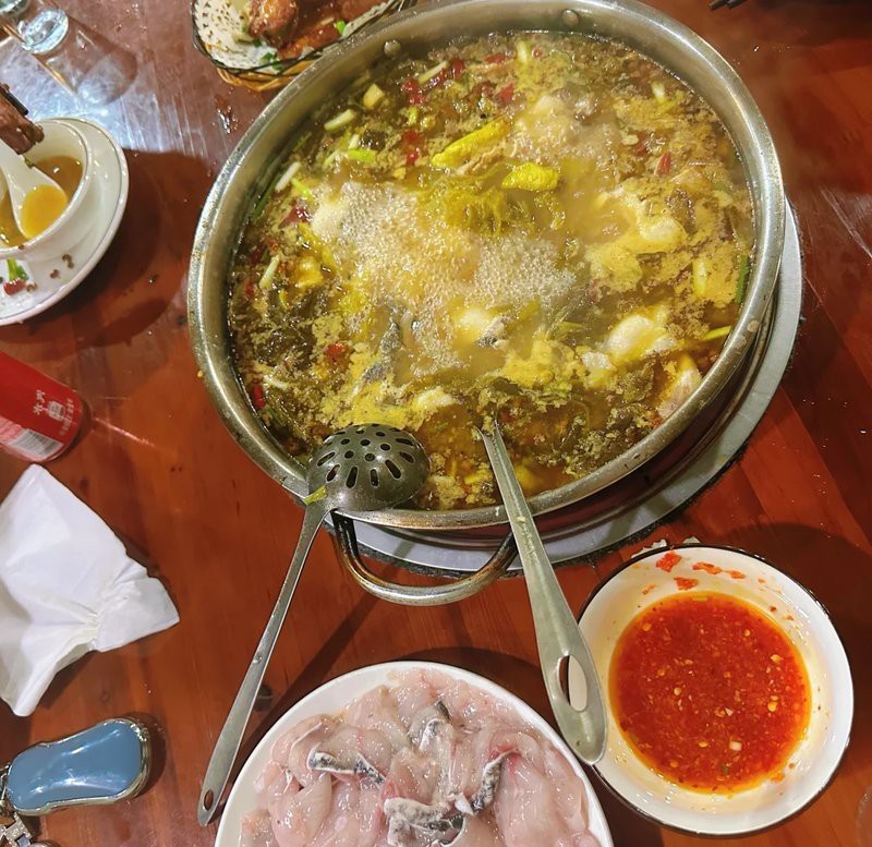 金華龍魚店【救命！江浙盛宴性價(jià)比之王被我挖到了！江南之旅即將啟程！】