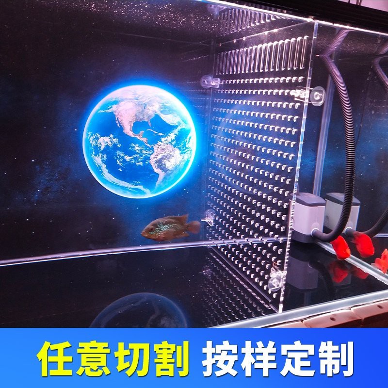 推薦幾款適合龍魚混養的隔離板【適合龍魚混養的隔離板推薦及特點分析：魚缸隔離板紳士伴日醒】
