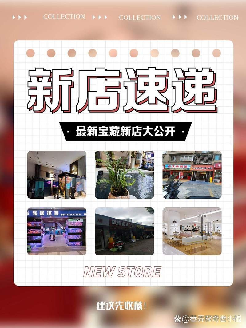 陽明水族店【貴陽陽明水族店主要涉及兩家不同地區的實體店鋪】