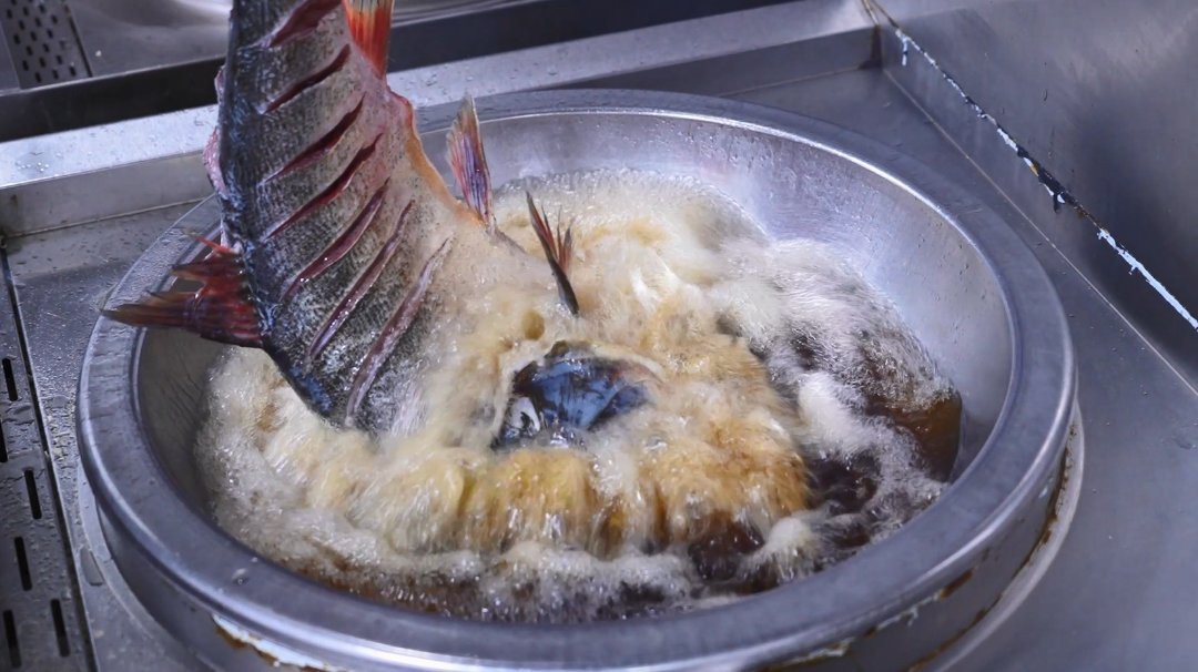 平邑龍魚店【平邑縣東酆龍魚水族工作室】
