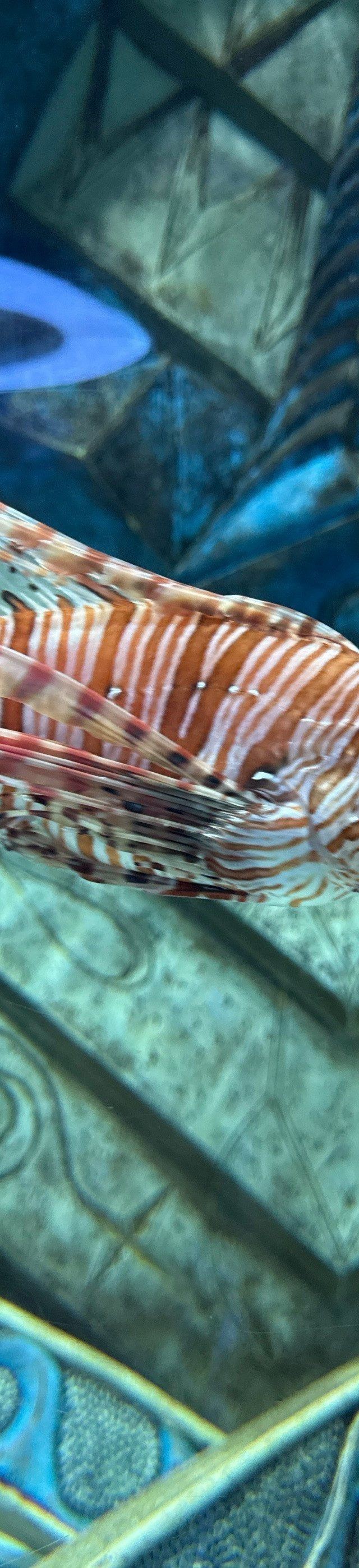 神木水族館【探秘神木水族館】
