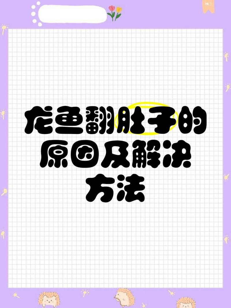 龍魚翻肚后需要換幾次水？【智能模式回答完成調用工具：龍魚翻肚后的換水需根據具體原因和恢復階段調整】