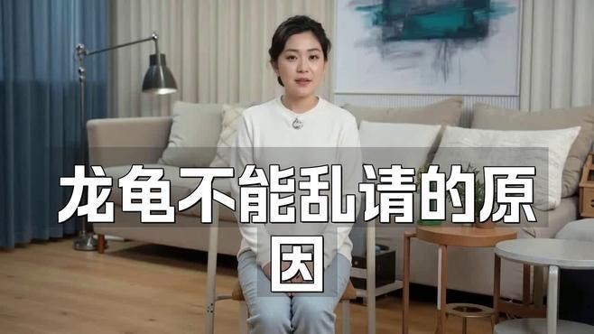 龍龜擺放時需要注意哪些禁忌？【青辰易道龍龜吉祥物布局注意事項】