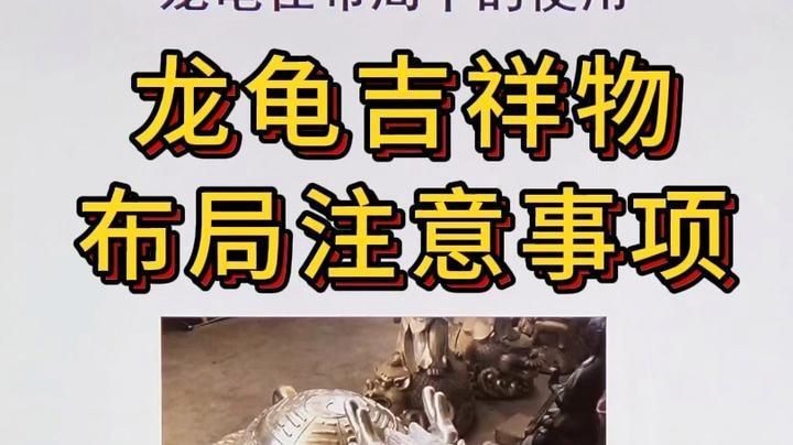 龍龜擺放時需要注意哪些禁忌？【青辰易道龍龜吉祥物布局注意事項】