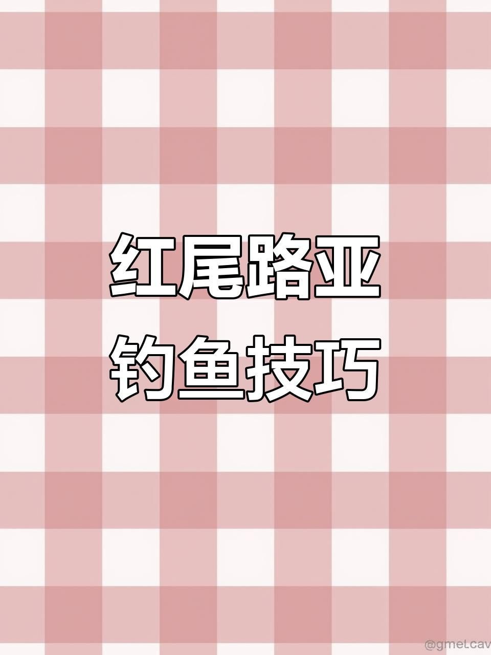 紅尾與翹嘴區(qū)別【紅尾與翹嘴在外形上存在差異可通過以下特征進(jìn)行區(qū)分】