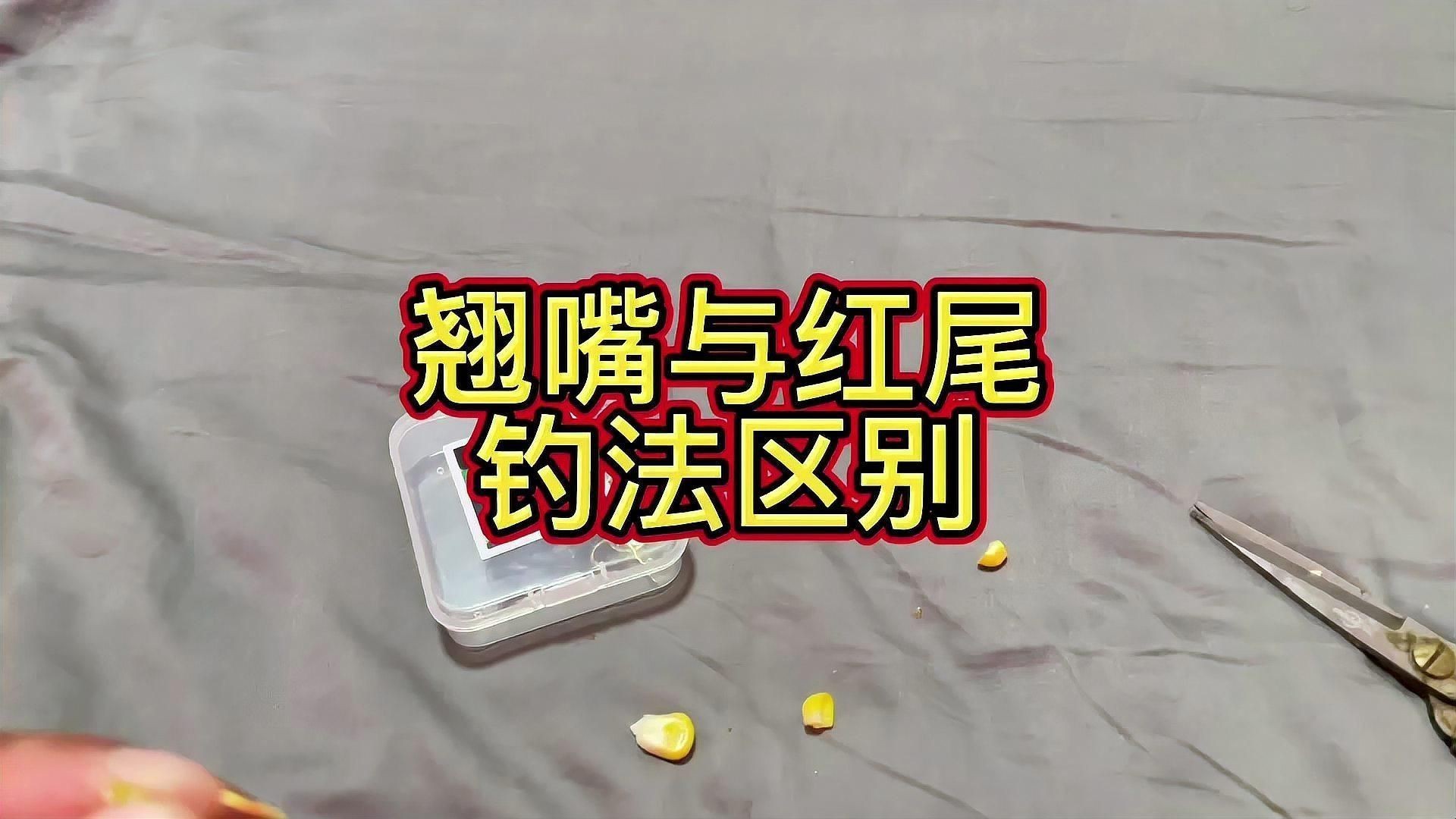 紅尾與翹嘴區(qū)別【紅尾與翹嘴在外形上存在差異可通過以下特征進(jìn)行區(qū)分】