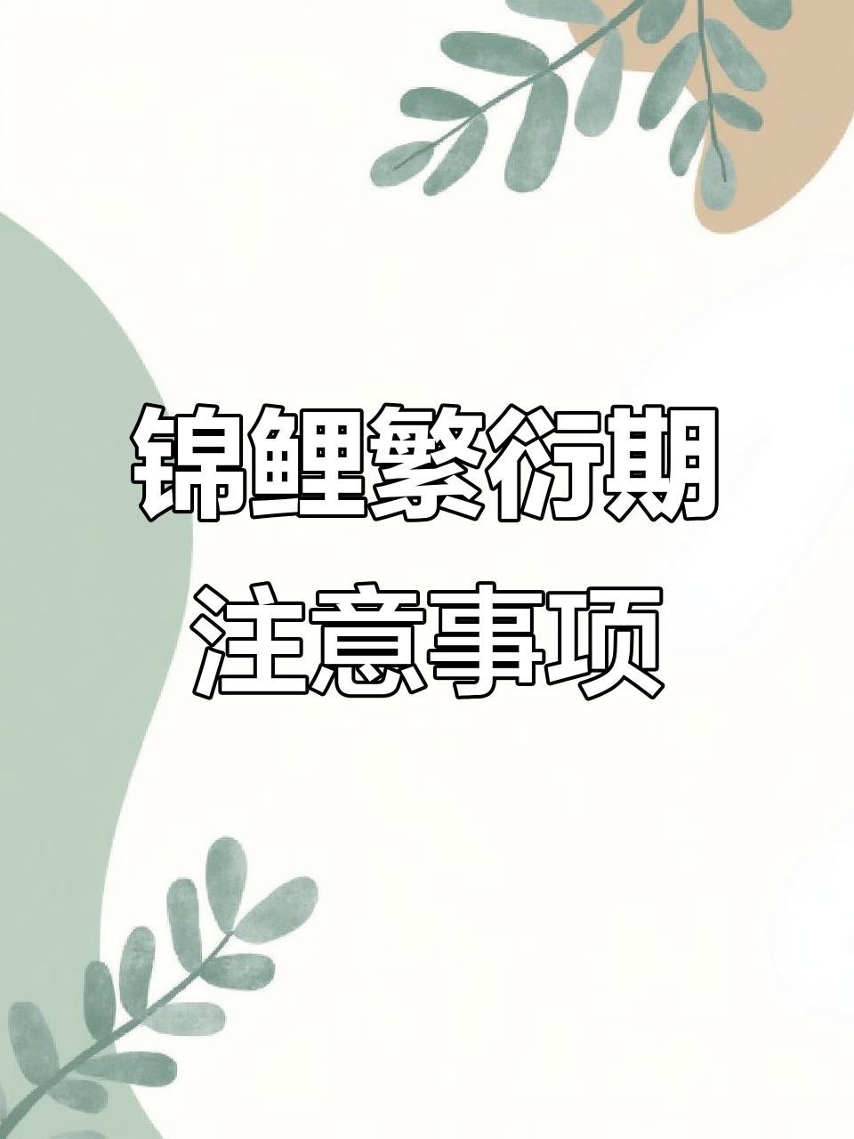 龍鳳錦鯉的繁殖方法【錦鯉繁殖全過程揭秘】 龍鳳錦鯉的繁殖方法【錦鯉繁殖全過程揭秘】 龍魚論壇 第6張