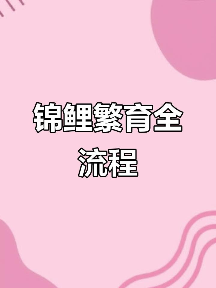 龍鳳錦鯉的繁殖方法【錦鯉繁殖全過程揭秘】 龍鳳錦鯉的繁殖方法【錦鯉繁殖全過程揭秘】 龍魚論壇 第5張