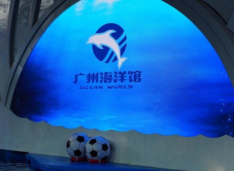 越秀水族店【廣州市越秀區哪家水族店口碑最好】