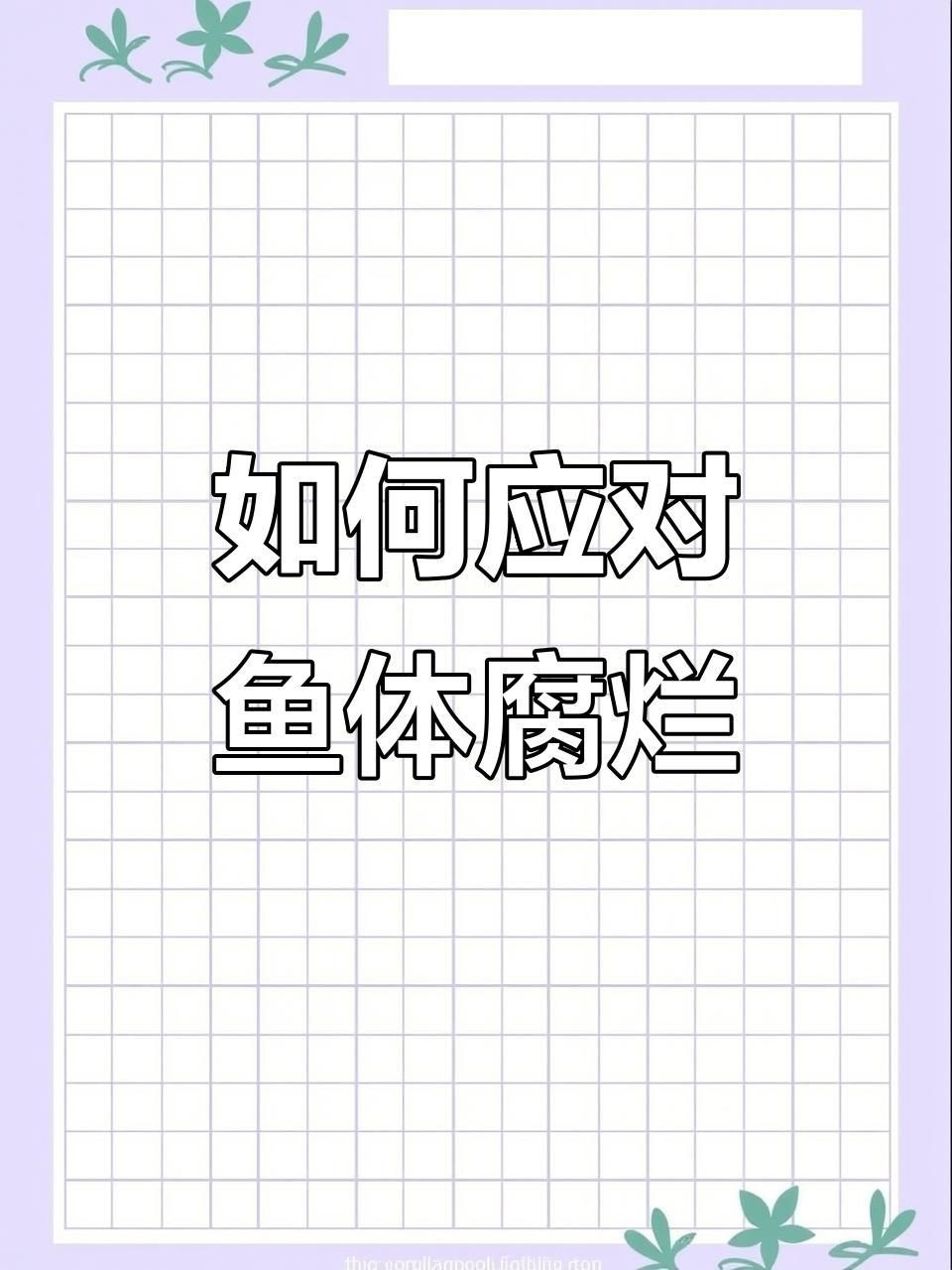 如何判斷魚是哪種類型的爛身？【智能模式回答完成調用工具：百度健康魚爛身的類型判斷】