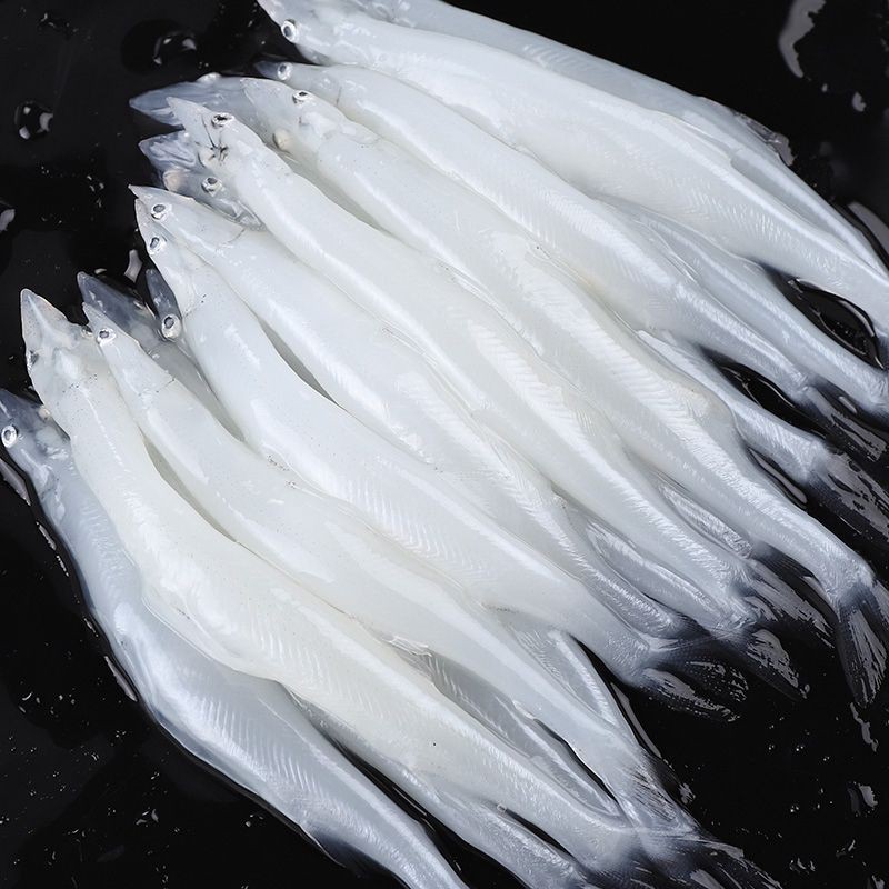 河里一種很小透明的魚【關于河流中常見透明小魚的詳細介紹】