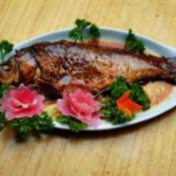 濮陽(yáng)龍魚(yú)店【濮陽(yáng)哪家龍魚(yú)店最有名】