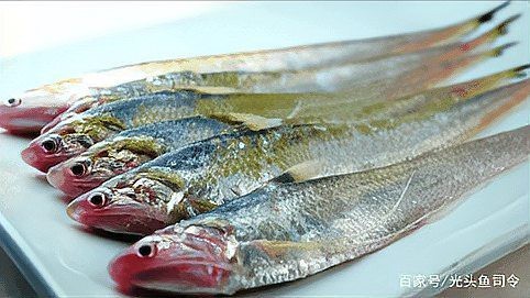 淡水刀魚價格表【刀魚市場價格多少錢一斤】