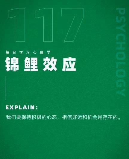炸鱗龍魚能活多久，龍魚炸鱗急救步驟清單，炸鱗龍魚能活多久，炸鱗急救步驟清單