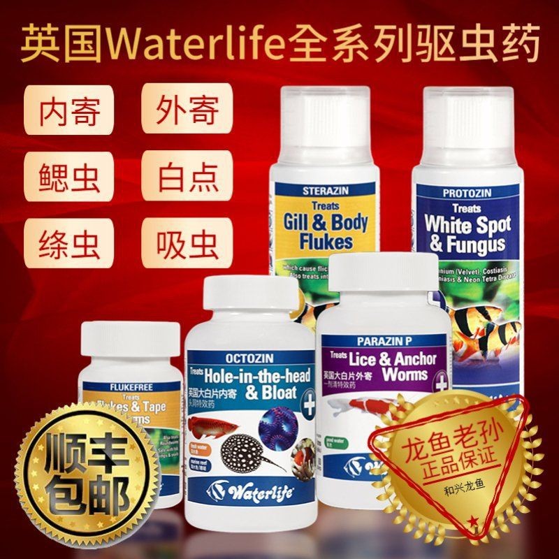 哪些食物對龍魚外寄有防治作用？【channableheri布氏鱧養護指南】