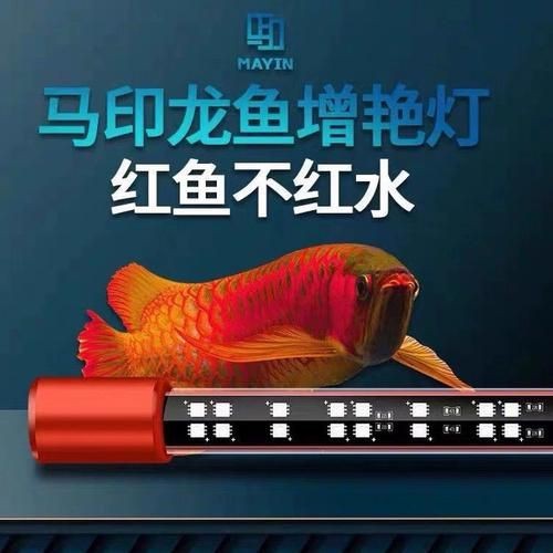 馬印神燈水草【馬印神燈作為水族照明領(lǐng)域的專業(yè)燈具】