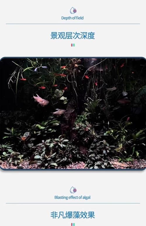馬印神燈水草【馬印神燈作為水族照明領(lǐng)域的專業(yè)燈具】