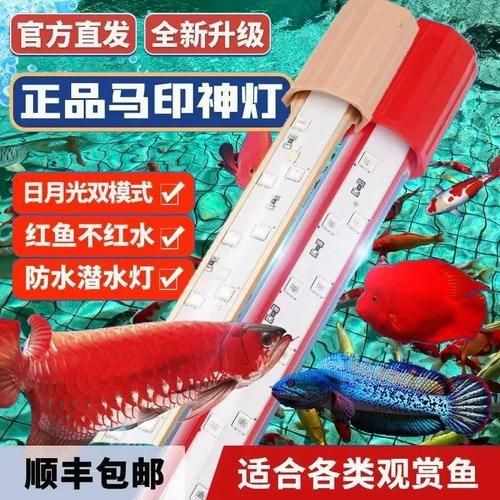 馬印神燈水草【馬印神燈作為水族照明領(lǐng)域的專業(yè)燈具】
