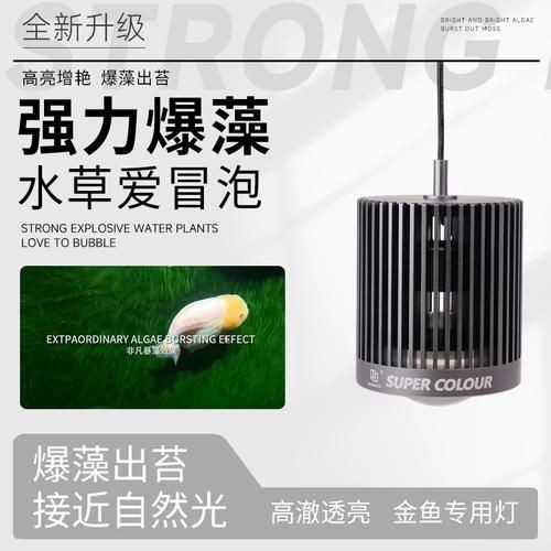 馬印神燈水草【馬印神燈作為水族照明領(lǐng)域的專業(yè)燈具】