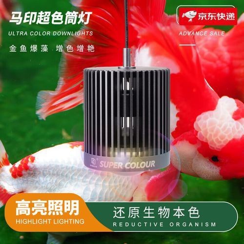 馬印神燈水草【馬印神燈作為水族照明領(lǐng)域的專業(yè)燈具】