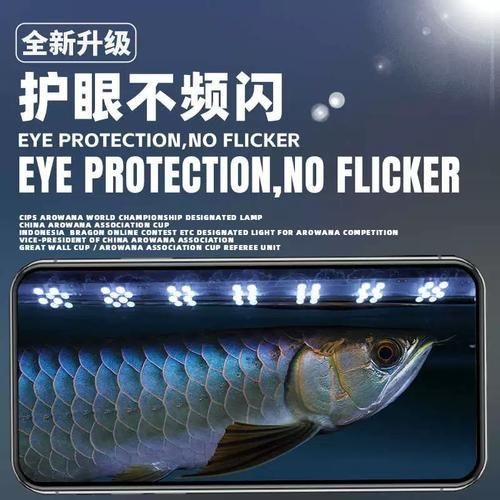 馬印神燈水草【馬印神燈作為水族照明領(lǐng)域的專業(yè)燈具】