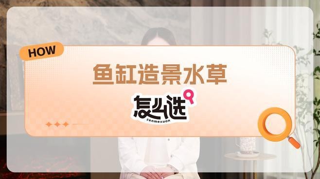 龍魚缸中應該放哪些植物？【魚缸造景水草怎么選】