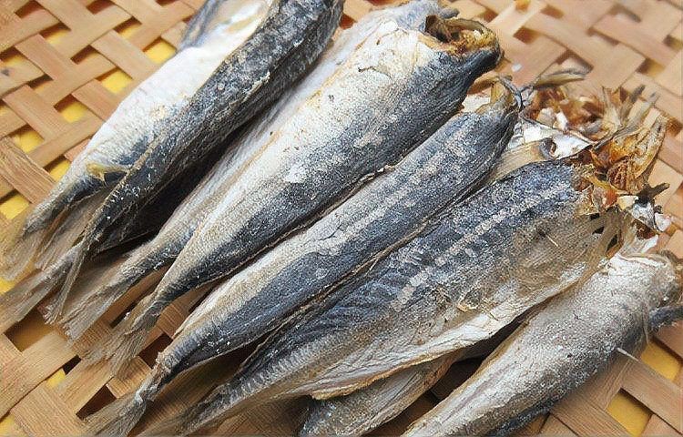 跟秋刀魚很像的魚胖胖的【與秋刀魚外形相似但體型更胖的魚類及其特點(diǎn)解析】