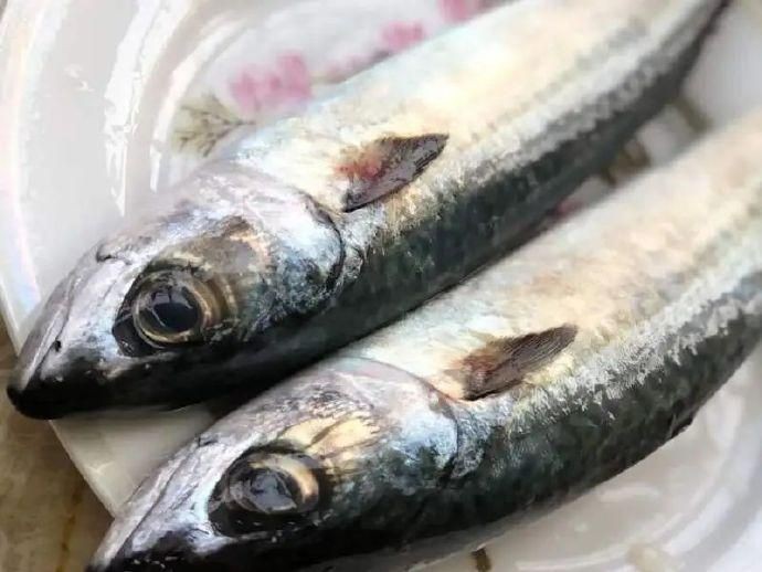 跟秋刀魚很像的魚胖胖的【與秋刀魚外形相似但體型更胖的魚類及其特點(diǎn)解析】