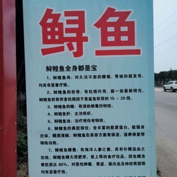 贛榆龍魚店【江蘇連云港贛榆區(qū)龍魚17.00元/個】