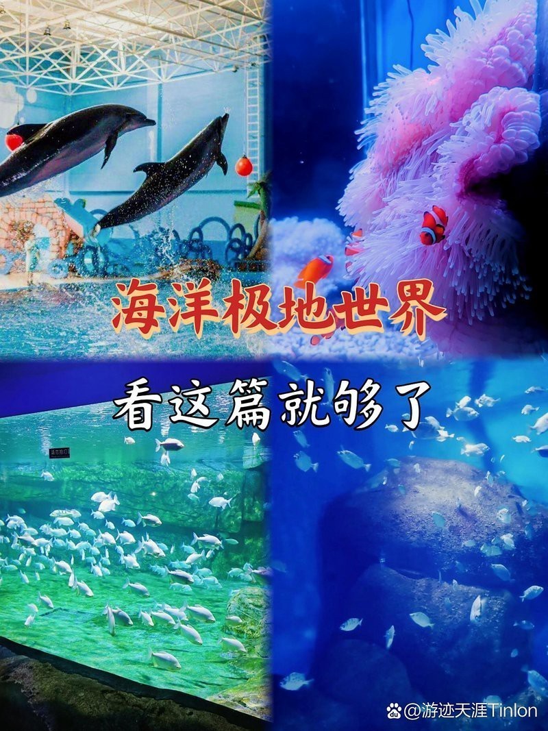蓬萊水族店【愛企查，蓬萊市登州樂魚軒水族館】