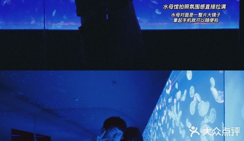 花溪水族店【花溪水族店如何吸引顧客】