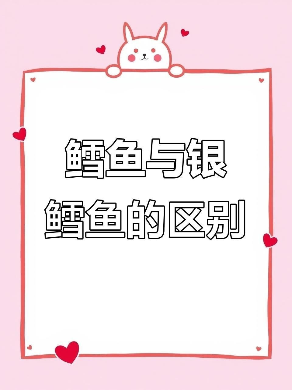 龍鱈魚和銀鱈魚的區(qū)別【鱈魚和銀鱈魚的區(qū)別】