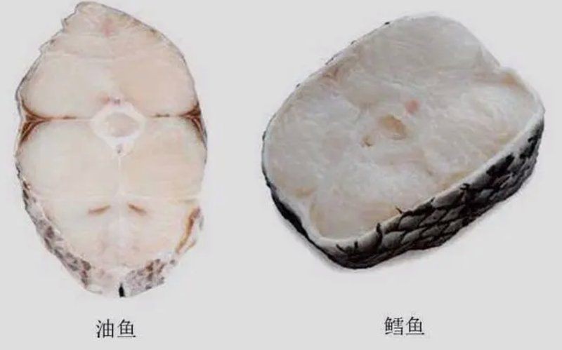 龍鱈魚和銀鱈魚的區(qū)別【鱈魚和銀鱈魚的區(qū)別】