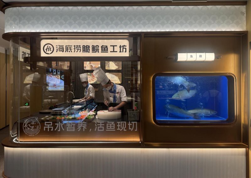 鶴山龍魚店【鶴山龍灣桑拿魚】