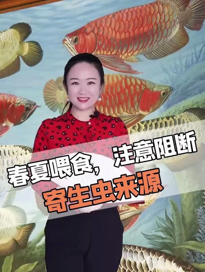 如何預(yù)防龍魚感染寄生蟲？【智能模式回答完成調(diào)用工具：百度健康】