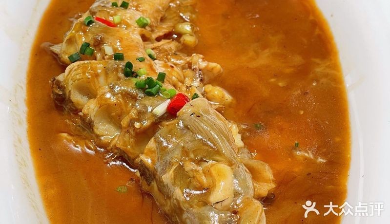 青山龍魚店
