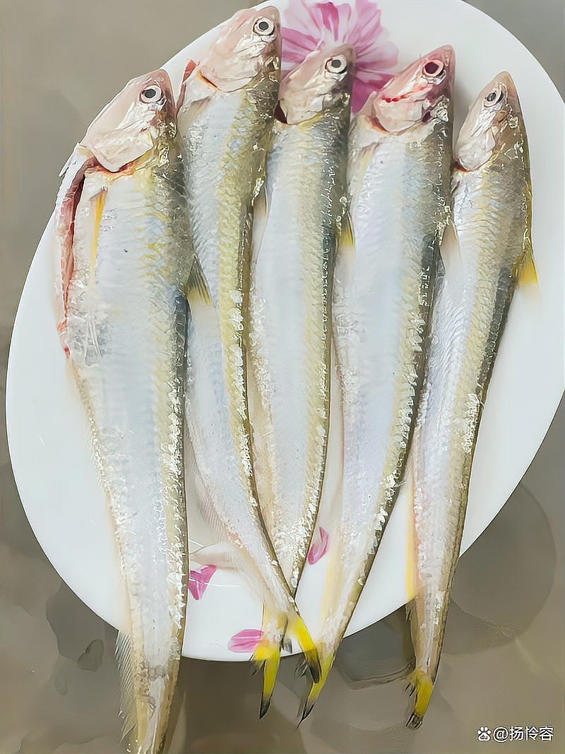 刀魚為什么那么貴【刀魚為什么這么貴】