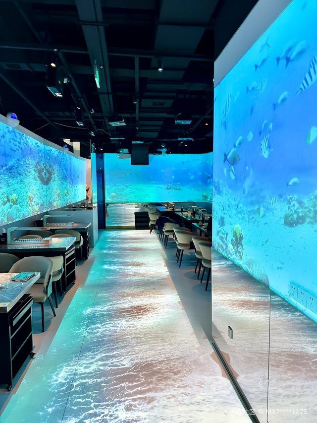 碑林水族店【西安市碑林區(qū)海光水族店怎么樣】