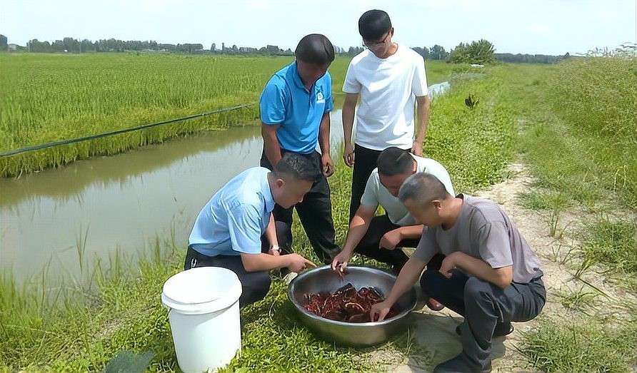 裕安龍魚店【六安裕安區有龍魚店嗎】