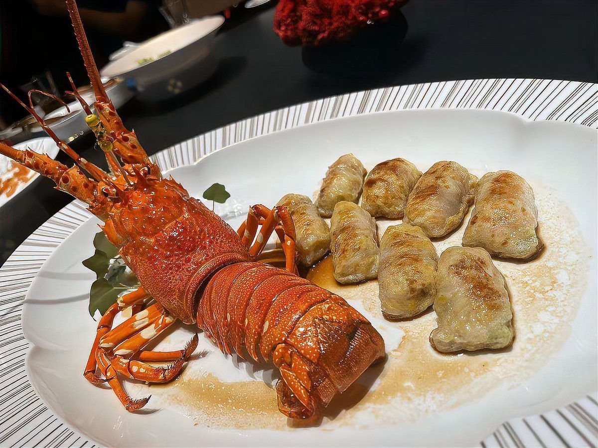 遂平龍魚店【遂平本地龍魚店】