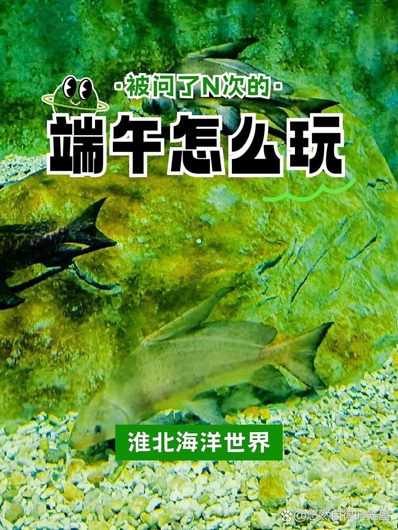 淮北水族店【淮北水族店淮北海洋世界】