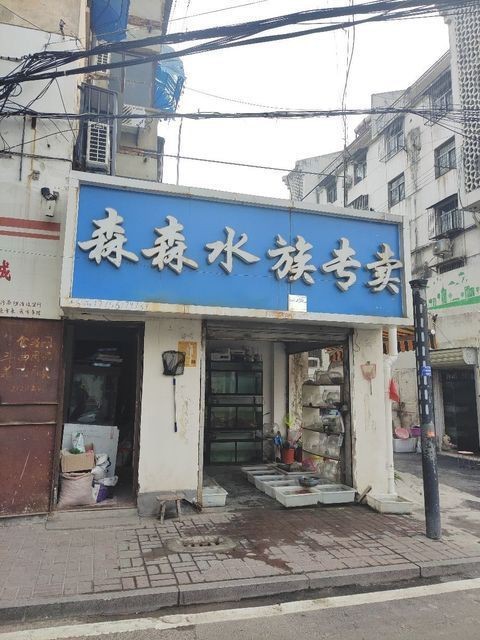 淮北水族店【淮北水族店淮北海洋世界】